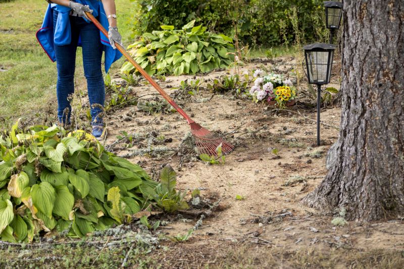 Increase Your Handyman Service Business with an AI Driven, Targeted Website