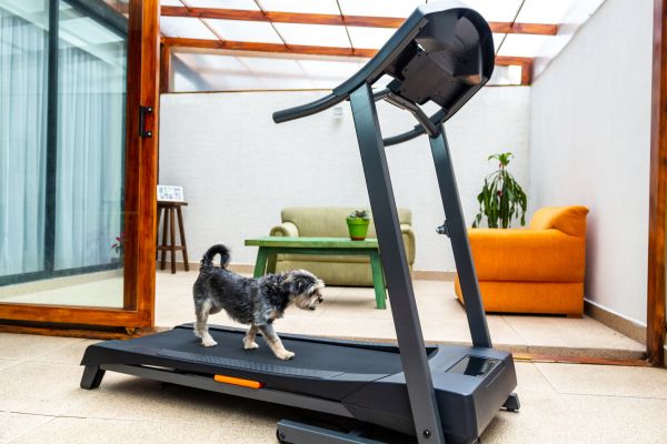 Cost of Treadmill Installation in Ashburn