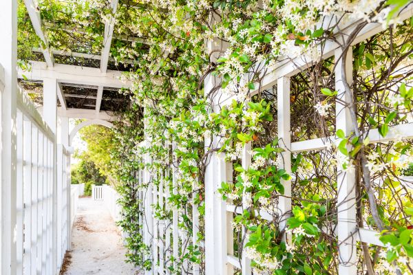 Cost of Trellis Repair in Ashburn