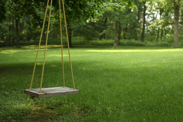 Cost of Rope Swing Installation in Ashburn