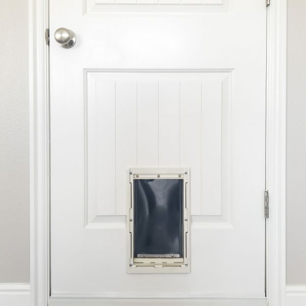 Cost of Pet Door Repair in Ashburn