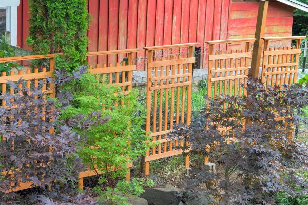 Wood Trellis Mounting in Ashburn