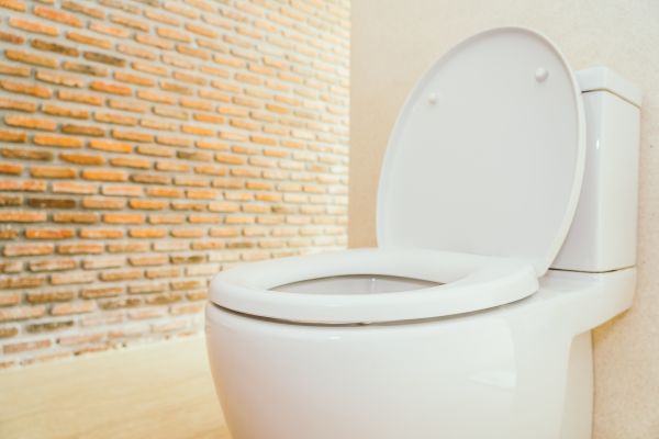 Toilet Seat Repair in Ashburn